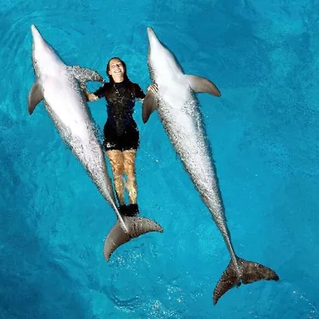 Amendoeiras 52 Willa Albufeira