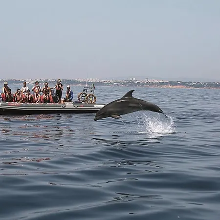 Willa Amendoeiras 52 Albufeira